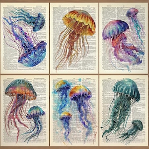 Jellyfish Print Set of 6 Jelly Fish Poster Jellyfish Bathroom Wall Decor Vintage Jellyfish Art Print Ocean Wall Art Nautical Wall Decor  737