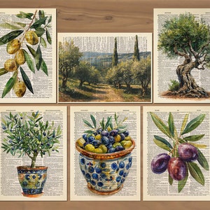 Könnte beinhalten: Satz von sechs Vintage-Drucken mit Olivenbäumen und Oliven. Die Drucke sind auf einem strukturierten Papierhintergrund mit einer Wörterbuch-Schriftart. Die Drucke zeigen eine Vielzahl von Olivenbäumen, darunter einen einzelnen Baum mit einem dicken Stamm, eine Reihe von Bäumen in einer Landschaft und eine Nahaufnahme einer Schüssel mit Oliven.