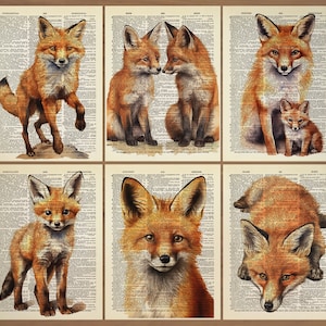 Fox Art Print Set of 6 Fox Wall Art Fox Poster Fox Painting Fox Portrait Fox Wall Decor Fox Gifts Fox Prints Gift Set Vintage Fox Print 809