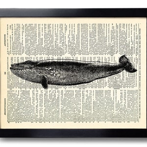 Whale Decorative Art, Whale Wall Hanging, Whale Artwork, Whale Art Print, Whale Drawing, Ocean Painting, Whale Illustration Wall Decal  270