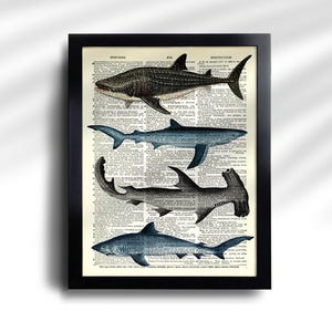 May include: A framed print featuring four different shark illustrations. The sharks are depicted in shades of blue and gray, set against a backdrop of vintage dictionary pages. The frame is black.