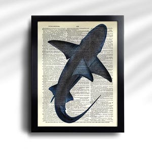 Juego de 6 impresiones de tiburón, póster vintage de tiburón, impresión vintage de tiburones, póster de especies de tiburón, arte de pared de tiburón, decoración de pared de tiburón, impresión antigua de tiburón 777 imagen 2