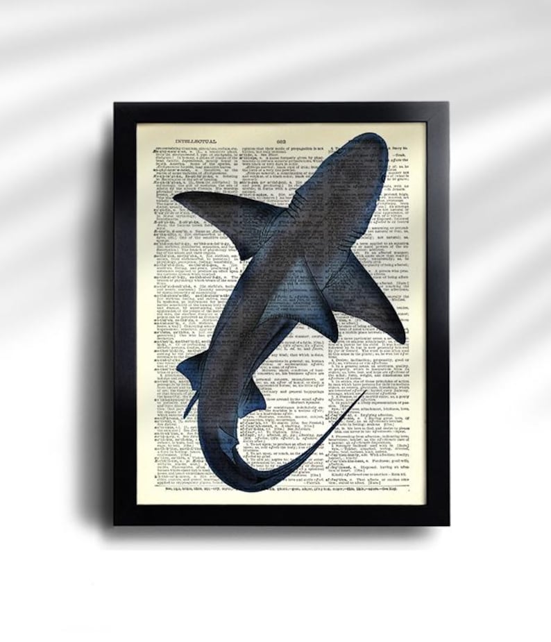 Juego de 6 impresiones de tiburón, póster vintage de tiburón, impresión vintage de tiburones, póster de especies de tiburón, arte de pared de tiburón, decoración de pared de tiburón, impresión antigua de tiburón 777 imagen 2