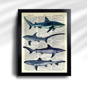 May include: Framed print featuring four detailed illustrations of sharks in shades of blue and gray. The artwork is set against a backdrop of vintage dictionary pages, with the word "SPIRITUALITY" visible at the top left.