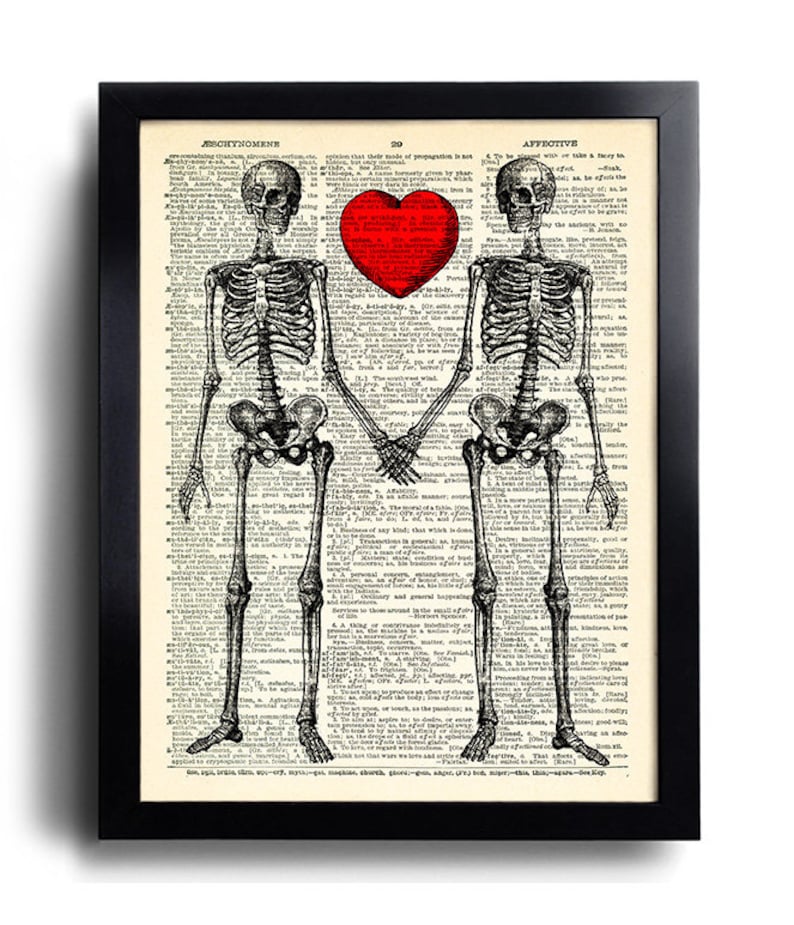 heart bones book heart bones book