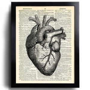 Heart Human Anatomy Art Print ANNIVERSARY Gift Man Boyfriend Gift, Anatomical Heart, ENGAGEMENT Gift Him Husband, Cool Anatomy Heart  254