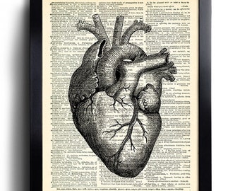 Heart Human Anatomy Art Print ANNIVERSARY Gift Man Boyfriend Gift, Anatomical Heart, ENGAGEMENT Gift Him Husband, Cool Anatomy Heart  254