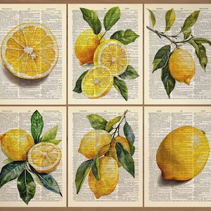 Lemon Print set of 6 Lemon Wall Art Lemon Poster Lemon Painting Lemon Citrus Wall Art Lemon Kitchen Wall Art Vintage Lemon Fruit Poster 0842