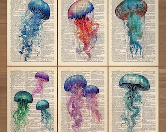 Jellyfish Print Set of 6 Jelly Fish Poster Jellyfish Bathroom Wall Decor Vintage Jellyfish Art Print Ocean Wall Art Nautical Wall Decor 0838