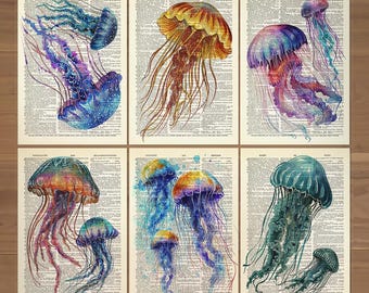 Jellyfish Print Set of 6 Jelly Fish Poster Jellyfish Bathroom Wall Decor Vintage Jellyfish Art Print Ocean Wall Art Nautical Wall Decor 0737