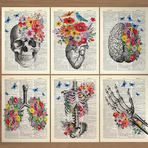 Anatomy Print Set of 6 Floral Medical Wall Art Human Anatomy Poster Doctor Gifts Anatomical Gift Vintage Human Anatomy Skull Flower Art 735