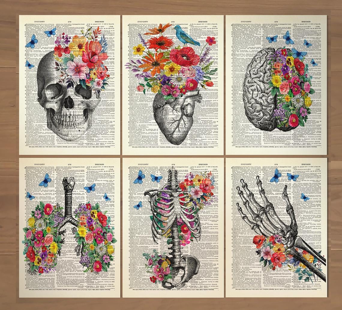 Anatomy Print Set of 6 Floral Medical Wall Art Human Anatomy Poster ...