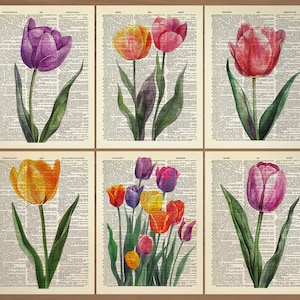 Tulip Print set of 6 Tulip Flowers Wall Art Tulip Flower Poster Wildflower Print Watercolor Flower Gallery  Vintage Tulip Floral Poster 784