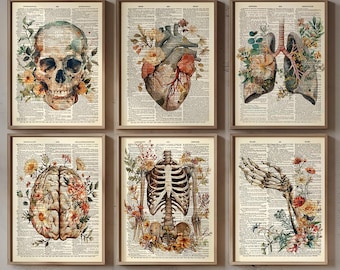 May include: A set of six rectangular wall art prints featuring anatomical illustrations of a human skull, heart, lungs, brain, rib cage, and hand, each layered over vintage dictionary text pages with colorful floral accents.