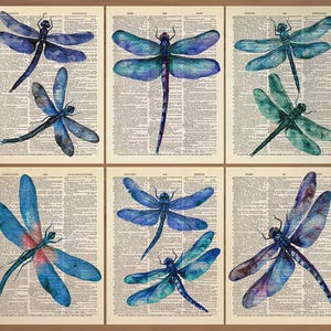 Dragonfly Print Set of 6 Dragonfly Poster Vintage Dragonfly Prints Dragonfly Wall Art Dragonfly Wall Decor Dragonfly Art Dragonfly Gift 803