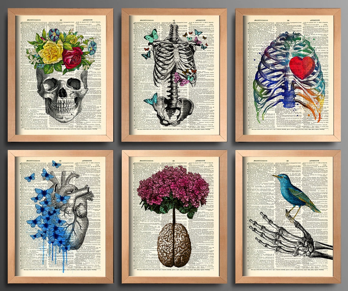 Anatomy Art Print Set 6 Medical Wall Art Anatomical Poster Home Decor ...