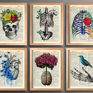 Anatomy Art Print Set 6 Medical Wall Art Anatomical Poster Home Decor Gifts Anatomical Gift Set of Posters Vintage Human Anatomy Skull 630 image 2