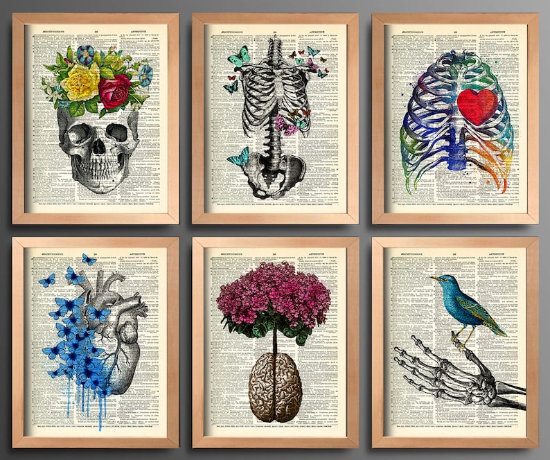 Anatomy Art Print Set 6 Medical Wall Art Anatomical Poster Home Decor Gifts Anatomical Gift Set of Posters Vintage Human Anatomy Skull 630 image 2