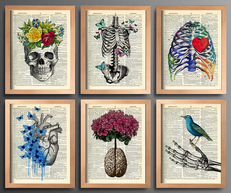 Anatomy Art Print Set 6 Medical Wall Art Anatomical Poster Etsy