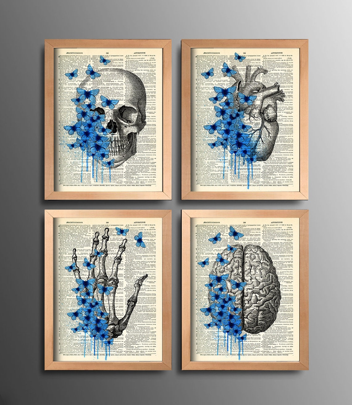 Anatomical Set Anatomy Print Set of 4 Medical Wall Art Dictionary Art ...