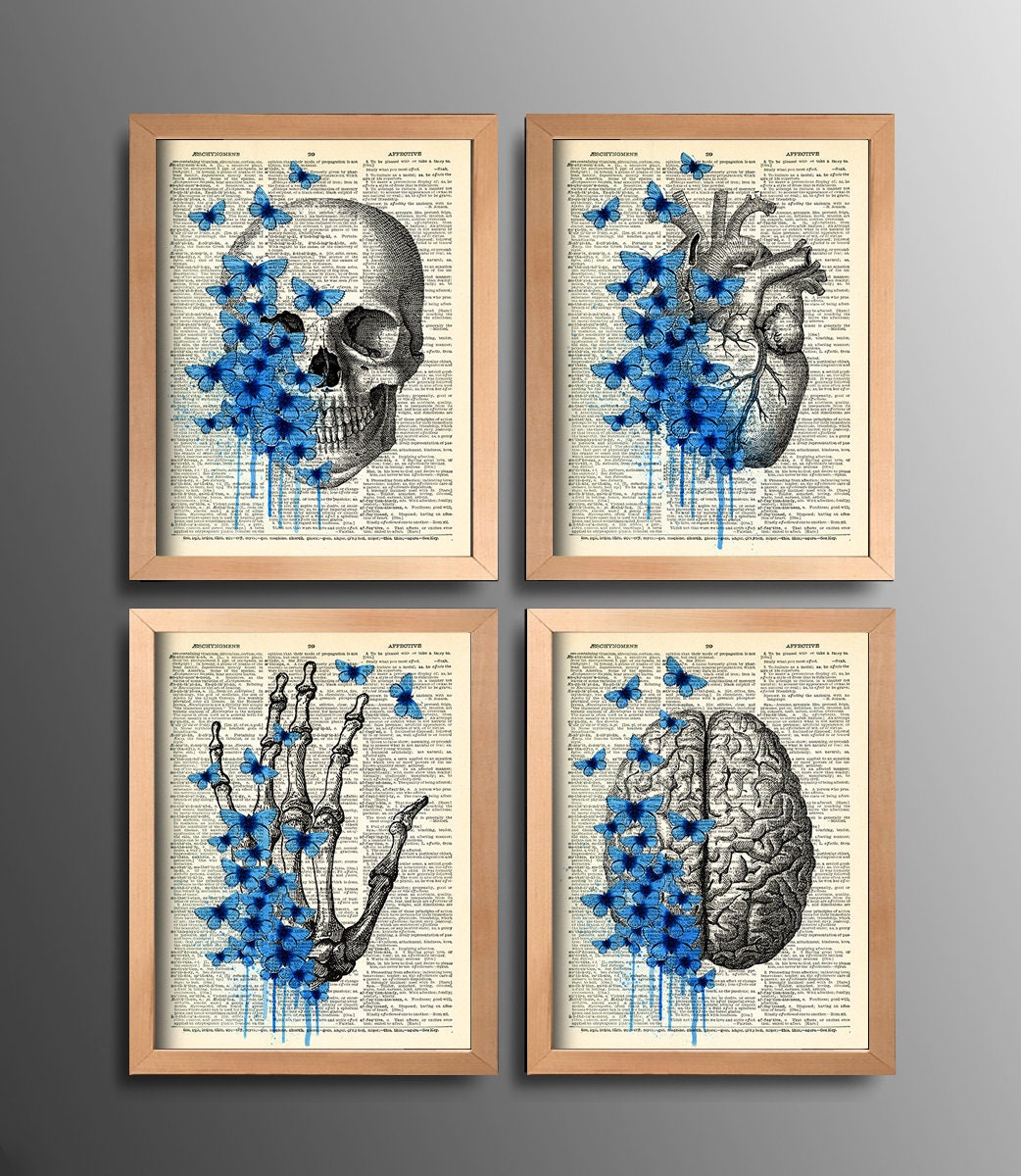Anatomical Set Anatomy Print Set of 4 Medical Wall Art Dictionary Art ...