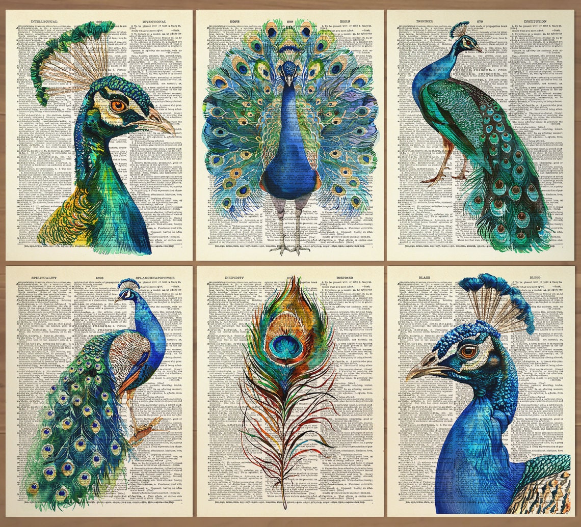 Peacock Original Oil Painting on Canvas Peacock Painting