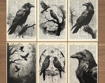 Zestaw 6 plakatów z krukiem, plakat z krukiem, plakat z krukiem, prezenty z krukiem, zestaw prezentowy z plakatem z krukiem, vintage Raven Print 0724