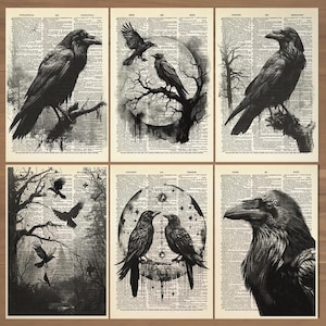 Raven Crow Print Set 6 Raven Wall Art Crow Poster Crow Wall Art Crow Gifts Raven Art Print Gift Set van Raven Posters Vintage Raven Print 724