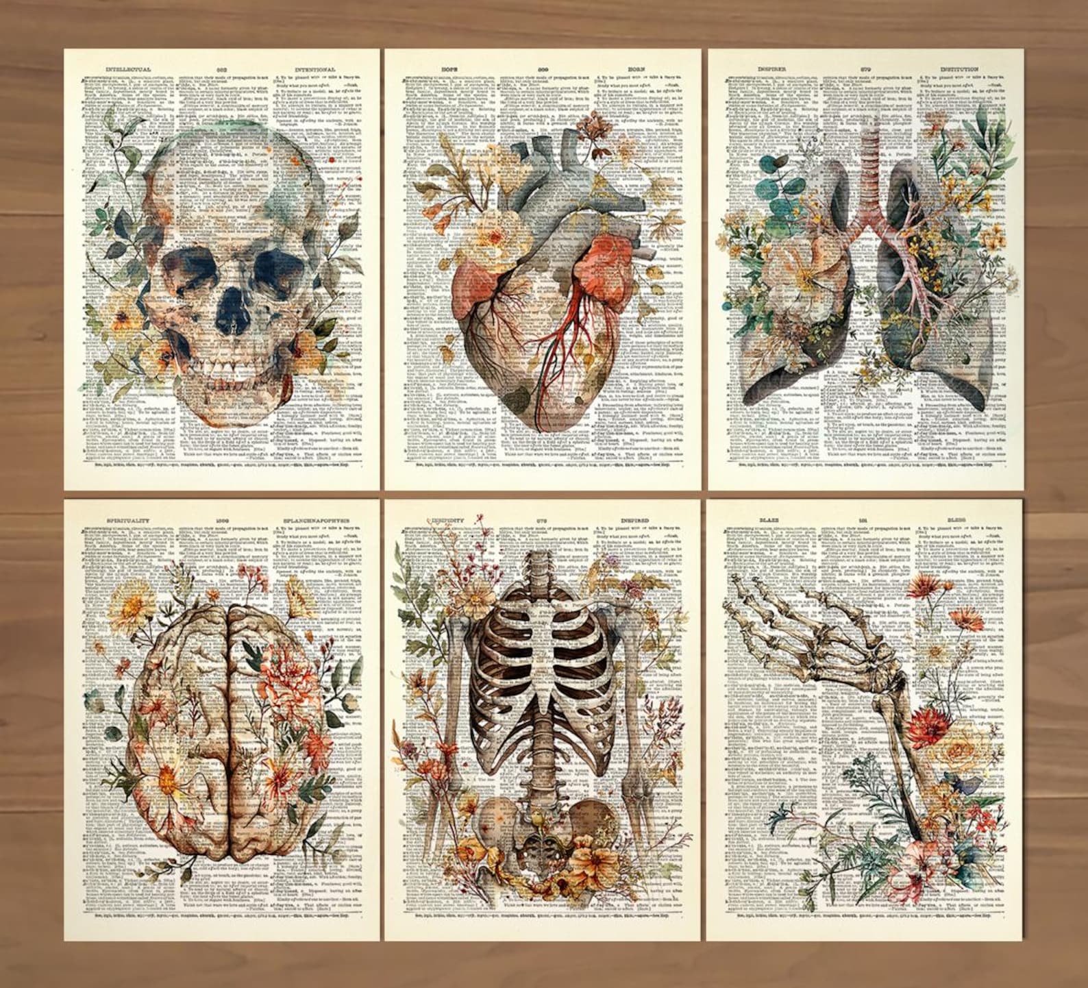 Anatomy Print Set 6 Medical Wall Art Anatomical Poster Home Decor Gifts ...