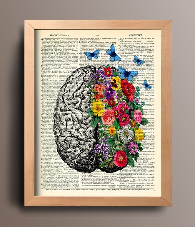 Il cervelletto: anatomia e funzioni - La Mente è Meravigliosa