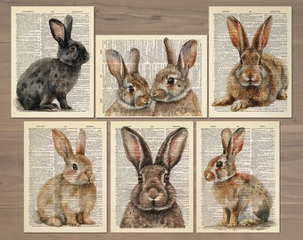 Juego de 6 láminas artísticas de conejo, arte de pared de conejo, póster de conejo, pintura de conejo, retrato de conejo, decoración de pared de conejo, regalos de conejo, pintura de conejo, arte 747
