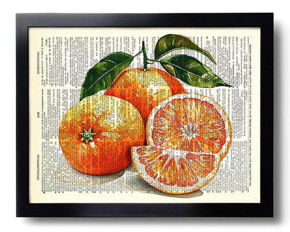 Orange Fruit Print Set of 7 Orange Fruit Wall Art Orange Poster