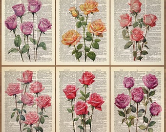 Rose Flower Print set of 6 Rose Flowers Wall Art Rose Poster Rose Print Red Rose Watercolor Flower Gallery Vintage Rose Floral Poster 822