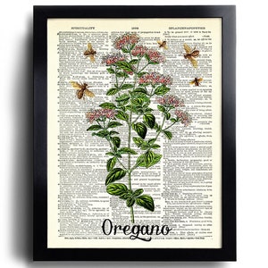 Puede incluir: Una ilustraci&oacute;n bot&aacute;nica vintage de or&eacute;gano con flores rosas y hojas verdes, rodeada de abejas, impresa en una p&aacute;gina de diccionario con la palabra "Or&eacute;gano" en la parte inferior.