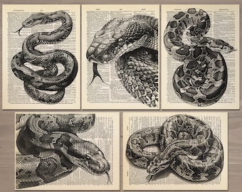 Juego de 5 impresiones de serpiente, póster vintage de serpiente, póster vintage de anaconda, arte de pared de serpiente, decoración de pared gótica de serpiente, arte antiguo de serpiente 774