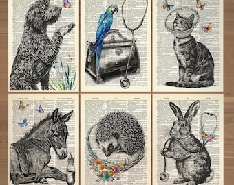 Veterinarian Print Set of 6 Animal Vet Wall Art Veterinarian Office Decor Veterinarian Gift Poster Pet Doctor Gift Vet Poster Veterinary 850