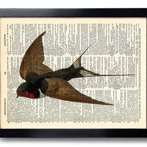 Swallow Art Print Swallows Artwork, Birds Bedroom Wall Decor, Decorative Art, Bird Wall Hanging, Swallow Artwork, Cool Home Wall Decor 025