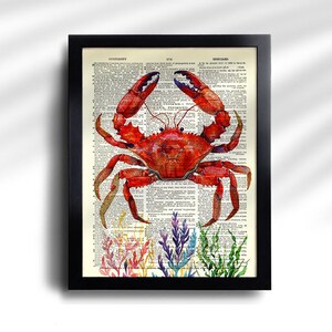 Juego de 6 láminas de vida marina, arte de pared de vida marina, juego de regalo de calamares, decoración de pared de baño de pulpos, póster de vida marina, póster náutico de caballito de mar 810 imagen 6