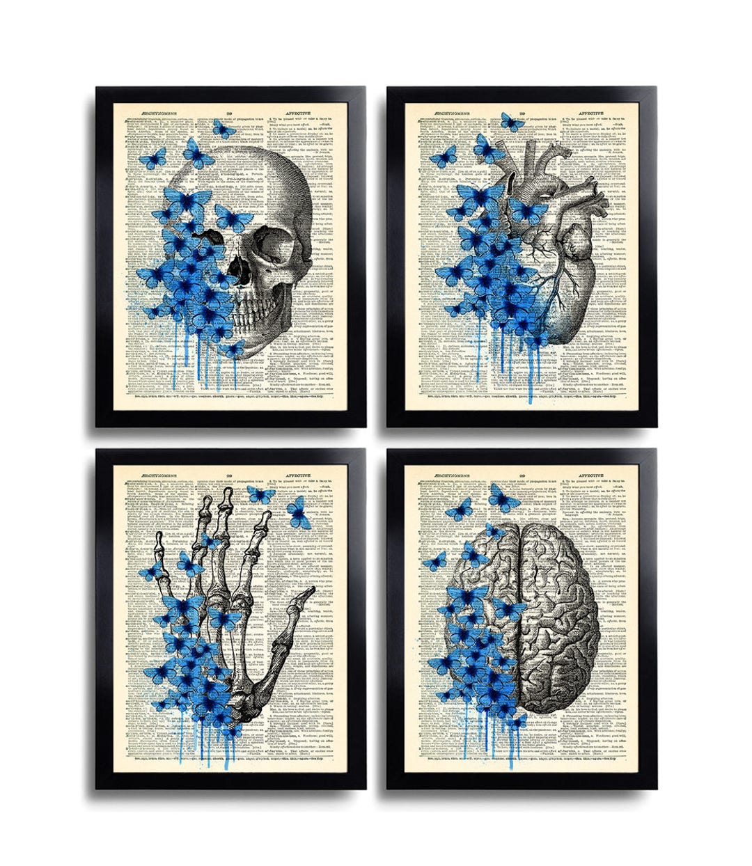 Anatomical Set Anatomy Print Set of 4 Medical Wall Art Dictionary Art ...