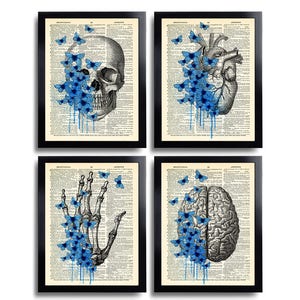 Anatomical Set Anatomy Poster Set of 4 Medical Wall Art Dictionary Art Print Gifts Anatomical Gift Set of Posters Vintage Anatomy Heart 629