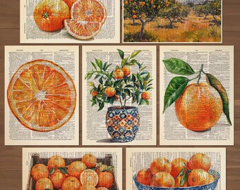 May include: A collection of vintage-style prints featuring oranges. The prints include images of whole and sliced oranges, an orange tree, and oranges in a wooden crate and a blue patterned bowl. The background of each print is a page from an old book.