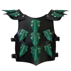 May include: Black leather armor with green leather dragon scales and silver studs.