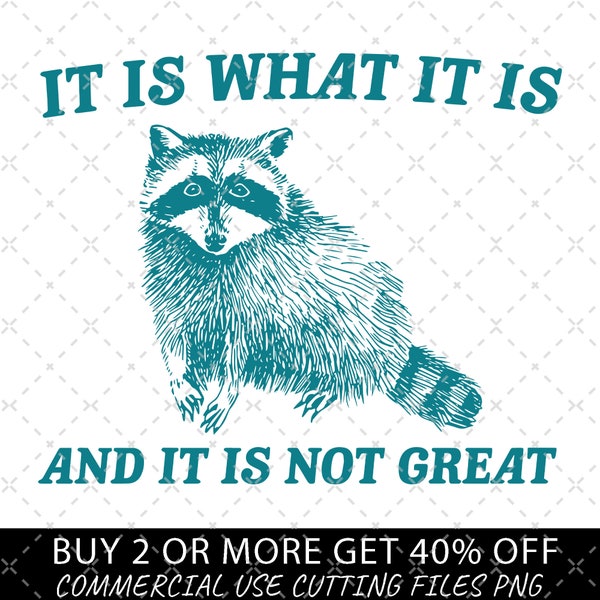 It Is What It Is And It Is Not Great Vintage Drawing Digital File, Funny Raccoon Meme PNG, Funny Trash Panda Merch, Funny Trash Panda Png