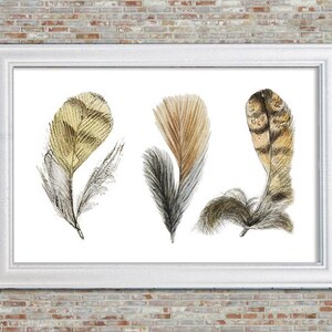Beige,Black, Tan Vintage Feather Print, Feather Art Print, Printable Artwork, Paint Downloadable Art, Feathers, Beige Art, Black Decor
