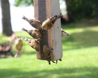 Barnwood Thistle Feeder: Finch, Chickadee, Nuthatch, Barnwood, gift, birthdays, Christmas, Easter, New Year's, weddings, Mother's Day