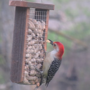 Barnwood Suet feeder, Peanut, cakes, present, birthday, Easter basket, wedding,  Father’s Day, Mother’s Day, gift, woodpeckers, blue jays