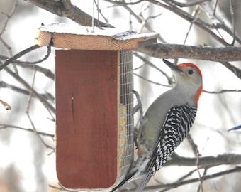Barnwood, Suet feeder, Peanut, cakes, gift, birthdays, Christmas, Easter, New Year's, weddings, Mother's Day, Father's Day