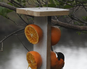 Orange Feeder present, birthday, Easter basket, gift for birthdays, Christmas, Easter, New Year's, weddings, Orioles, grape jelly