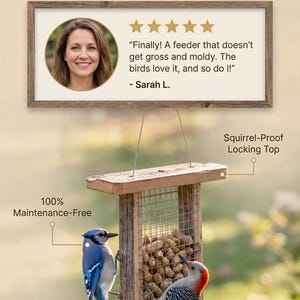 Könnte beinhalten: Vogelfutterhaus aus Holz mit Drahtgitterfront, gefüllt mit Erdnüssen und einem eichhörnissicheren Verschluss. Ein Blue Jay und ein Rotbauchspecht sitzen auf dem Futterhaus. Das Futterhaus ist wartungsfrei und hat einen bodenlosen Aufbau, um Schimmel zu vermeiden.