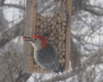 Barn wood Peanut feeder or Suet Feeder great for outdoors free shipping, hand made and maintenance free